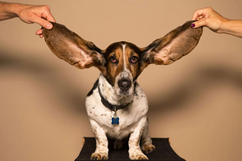 How to avoid Happy Ears Syndrome in sales